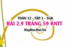 Bài 2.9 trang 59 Toán 12 tập 1 Kết nối tri thức